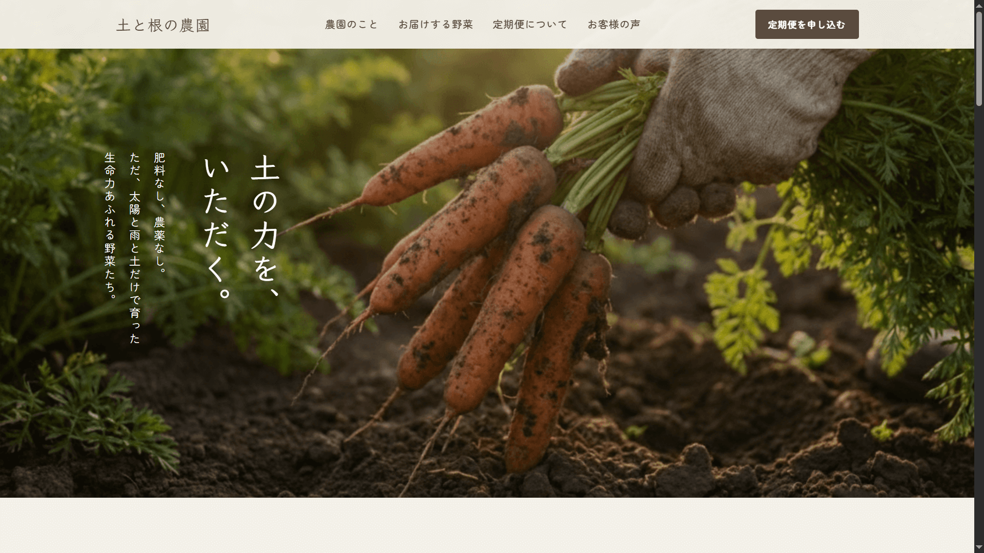 サンプルサイト5